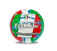 Teorema - Balón de Voleibol, tamaño 5, 280 g, diseño Exclusivo