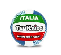 Teorema - Balón de Voleibol, tamaño 5, 280 g, diseño Exclusivo