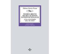 Teoría breve de Relaciones Internacionales: ¿Una anatomía del mundo? (Derecho - Biblioteca Universitaria de Editorial Tecnos)