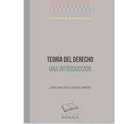 Teoria Del Derecho. Una Introduccion