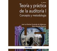 Teoría y práctica de la auditoría I: Concepto y metodología (Economía y Empresa)