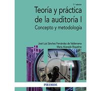 Teoría y práctica de la auditoría I: Concepto y metodología (Economía y Empresa)