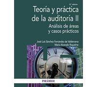 Teoría y práctica de la auditoría II: Análisis de áreas y casos prácticos (Economía y Empresa)