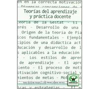 Teorias Del Aprendizaje Y Practica Docente