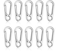 Teouuas 10 Piezas Mosquetones, Mosquetones Pequeños, Mosqueton Acero Inoxidable, Mosqueton Llavero, para Camping Senderismo Viajes Pesca Deportes al Aire Libre (Plata)