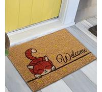 Teppich-Traum Moderna Alfombrilla Duradera | Felpudo por Zapatos • Colorido Gatito • Coco Naranja, 60 x 90 cm