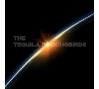 Tequila Rockingbirds - Drowning in a Moment of Enlightenment
