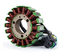 TERAM LOISIRS Estator Alternador compatible para Honda CBF 250 de 2004 2005 2006 2007 2008 2009 NUEVO