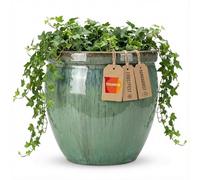 Teramico Macetero de cerámica modelo Bavaria en bonitos colores y tamaños (verde, 29 cm x 23 cm)