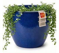 Teramico Macetero redondo de cerámica resistente a las heladas (azul real, 38 cm x 31 cm)