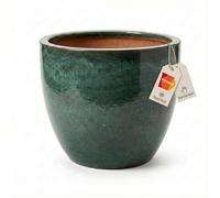 Teramico Macetero redondo de cerámica, resistente a las heladas (musgo, verde, 29 cm x 23 cm)