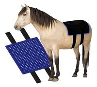 Terapia de luz roja con diodo 3 en 1 for caballos, Terapia de luz roja for el dorso equino Colchoneta de terapia de luz roja ajustable de 660 nm/850 nm for la recuperación equina