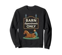 Terapia de masaje equino Cuidado del caballo Animal Body work Humor Sudadera