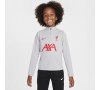 Tercera equipación Academy Pro Liverpool FC Camiseta de entrenamiento de fútbol Nike Dri-FIT - Niño/a pequeño/a - Gris XS