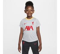 Tercera equipación Liverpool FC Academy Pro Camiseta de fútbol de manga corta Nike Dri-FIT - Niño/a pequeño/a - Gris XL