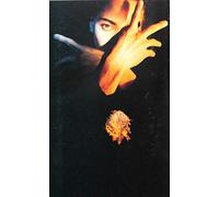 Terence Trent D'arby - N.F.N.F. [Casete]