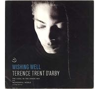 Terence Trent D'Arby - Wishing Well - The Cool In The Shade Mix