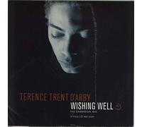 Terence Trent D'Arby - Wishing Well - The Darbinian Mix