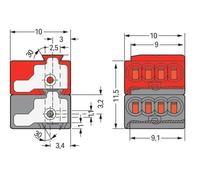 Terminal De Conexión Del Sistema Wago Micro Bus - 243-211 [50 Piezas]
