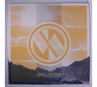 Terminal Fuzz Terror - Vol. 0: In the Shadow of the Mountain [VINYL] [Vinilo]