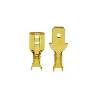 Terminales de anillo, conector de cable de terminal de cobre, conectores eléctricos 100 unids/lote 2,8/4,8/6,3 mm terminal de engarzado hembra y macho(4.8 Male Female)