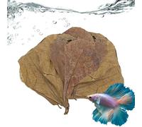 Terminalia Catappa Hojas - Hojas de almendras para Betta | Accesorios y Juguetes de acuarios | 10 Piezas de decoración del Acuario, Hojas Naturales y reducidas por pH para Crear un hábitat Natural