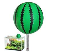 Termometro Per Piscina Galleggiante - Termometro Per Piscina Con Anguria | Termometri Per Palloncini Creativi Dei Cartoni Animati | Indicatore Di Temperatura Di Facile Lettura, Ampio Display, Diverten