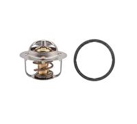 EPS 1.880.954 Termostato, refrigerante