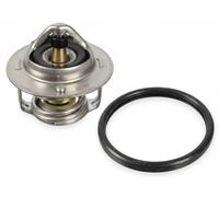 Febi bilstein 108076 - Termostato con anillo de sellado, 1 unidad