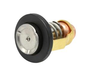 Termostato 140F 60C Compatible Con F 75 80 90 100 150 Fuera de Borda | Adecuado para motores F 200 225 250 de 4 tiempos ; Números de pieza 67F-12411-01 6CB-12411-00