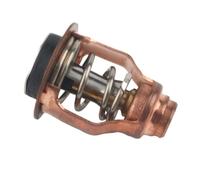Termostato 140F 60C compatible con fueraborda F 75-250 de 4 tiempos | Compatible con los modelos 75 80 90 100 150 200 225 250; Números de pieza 67F-12411-01 6CB-12411-00
