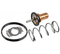 Febi bilstein 172432 Termostato 1 Pieza