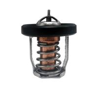 Termostato 17670-94J01 de 60 C para motores fueraborda marinos DF8A de 9,9, 15, 20, 25 y 30 A. Piezas del motor 17670-94J00 y 17670-94J02.