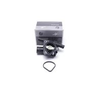 Esen Skv Termostato Refrigerante Con Junta Para Nissan Qashqai +2 I X-Trail