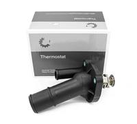 ESEN SKV 20SKV217 Termostato, refrigerante