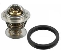 Termostato 33 10 1619 SWAG para PEUGEOT CITROËN