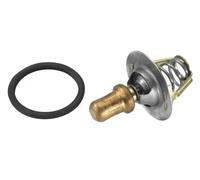 Termostato 3469.91D BorgWarner (Wahler) para RENAULT RAPID Furgoneta/monovolumen