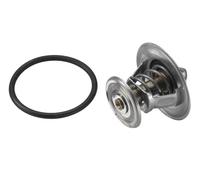 Termostato 4264.87D BorgWarner (Wahler) para AUDI VW SEAT FORD SKODA MULTICAR