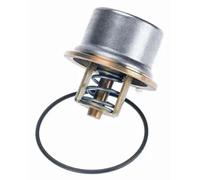 Termostato Wahler Para Refrigerante Con Junta 80°C Para BMW Serie 3 Coupe