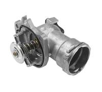 Wahler Termostato 4835.87d, refrigerante