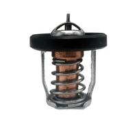 Termostato 60° 17670-94J01 17670-94J00 17670-94J02 Compatible con motores fueraborda marinos DF8A 9,9 15 20 25 30A