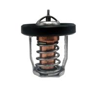 Termostato 60 Apto for S DF8A 9 9 15 20 25 30A 17670-94J01 17670-94J00 17670-94J02