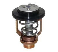 Termostato 6D9-12411-00-00 6D9-12411 compatible con motor fueraborda F80B F100D de 4 tiempos