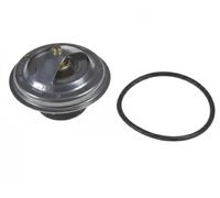 Termostato ADJ139202 BLUE PRINT para BMW OPEL LAND ROVER