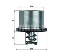 Termostato BEHR De Refrigerante Con Junta 79°C TX 37 79