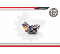 ESEN SKV 20SKV078 Termostato, refrigerante