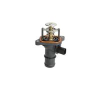 Termostato, refrigerante THERMOTEC D2T005TT