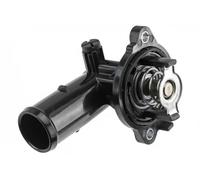 Termostato CTM-CH-040 NTY