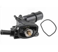 NTY CTM-FT-012 Termostato, refrigerante