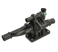 Termostato, refrigerante THERMOTEC D2C011TT